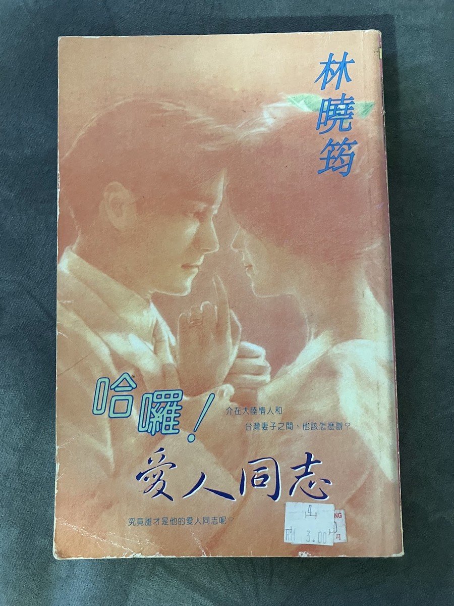 哈囉! 愛人同志 listing photo 1