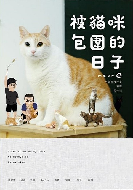 黃阿瑪的後宮生活：被貓咪包圍的日子 listing photo 1