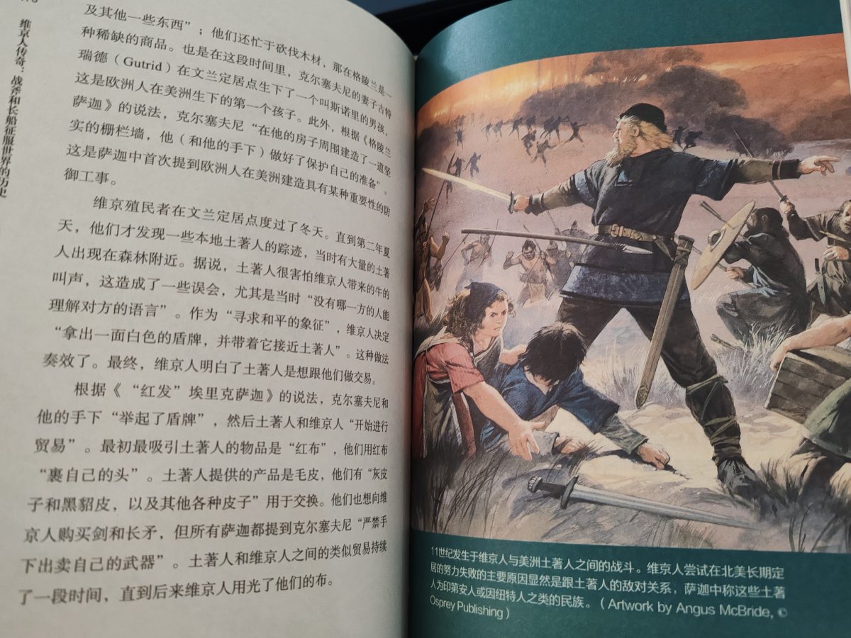 维京人传奇 listing photo 3