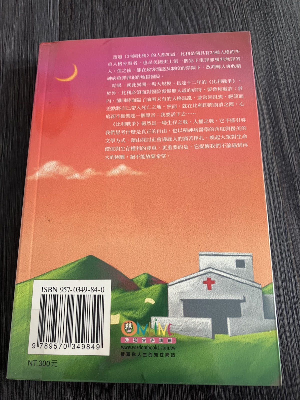 比利戰爭 listing photo 3