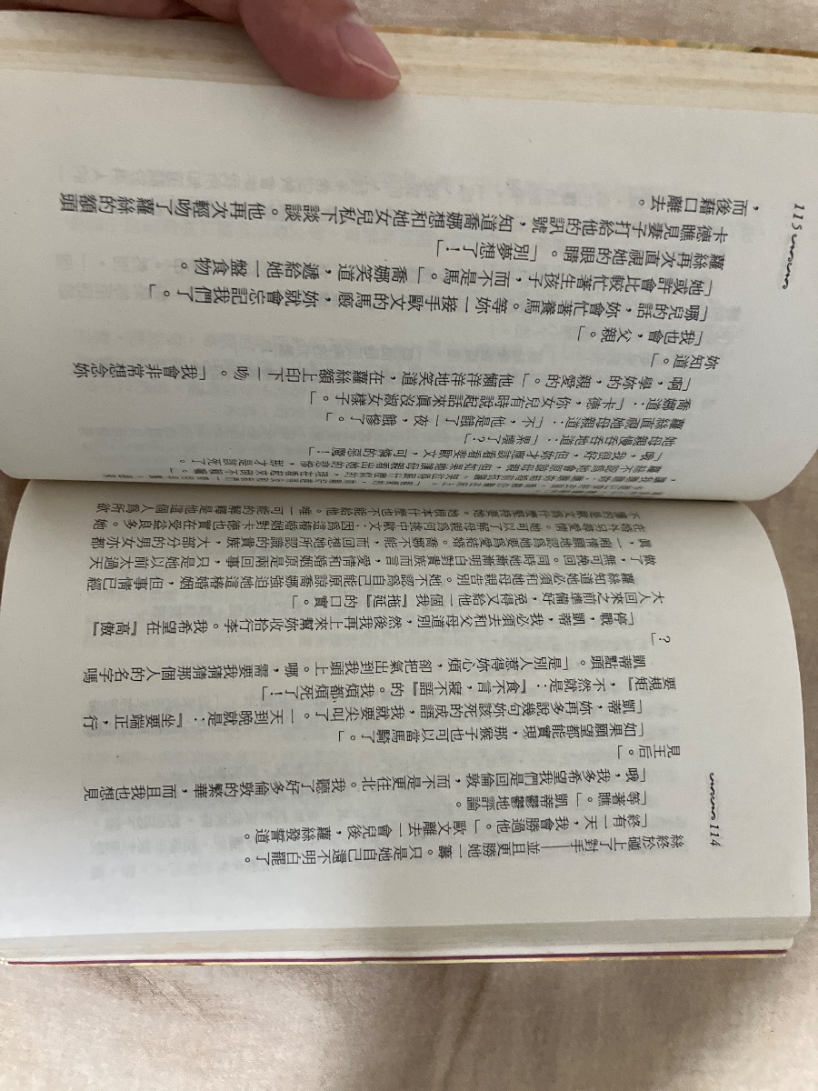 玫瑰騎士 — photo 3