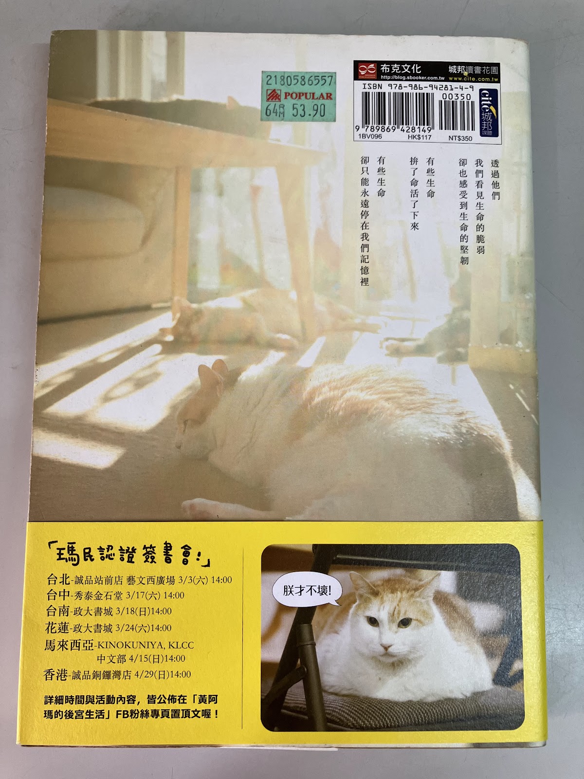 黃阿瑪的後宮生活：被貓咪包圍的日子 listing photo 3