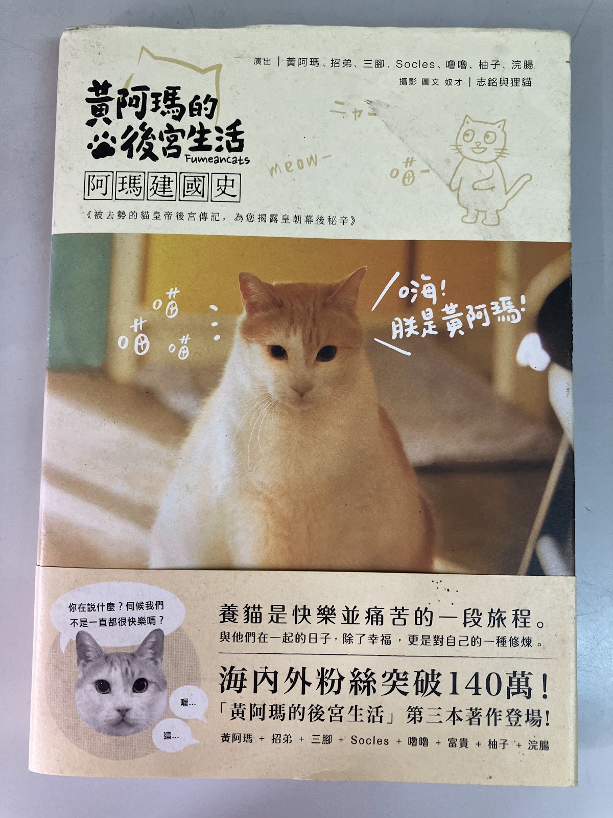 黃阿瑪的後宮生活 listing photo 1