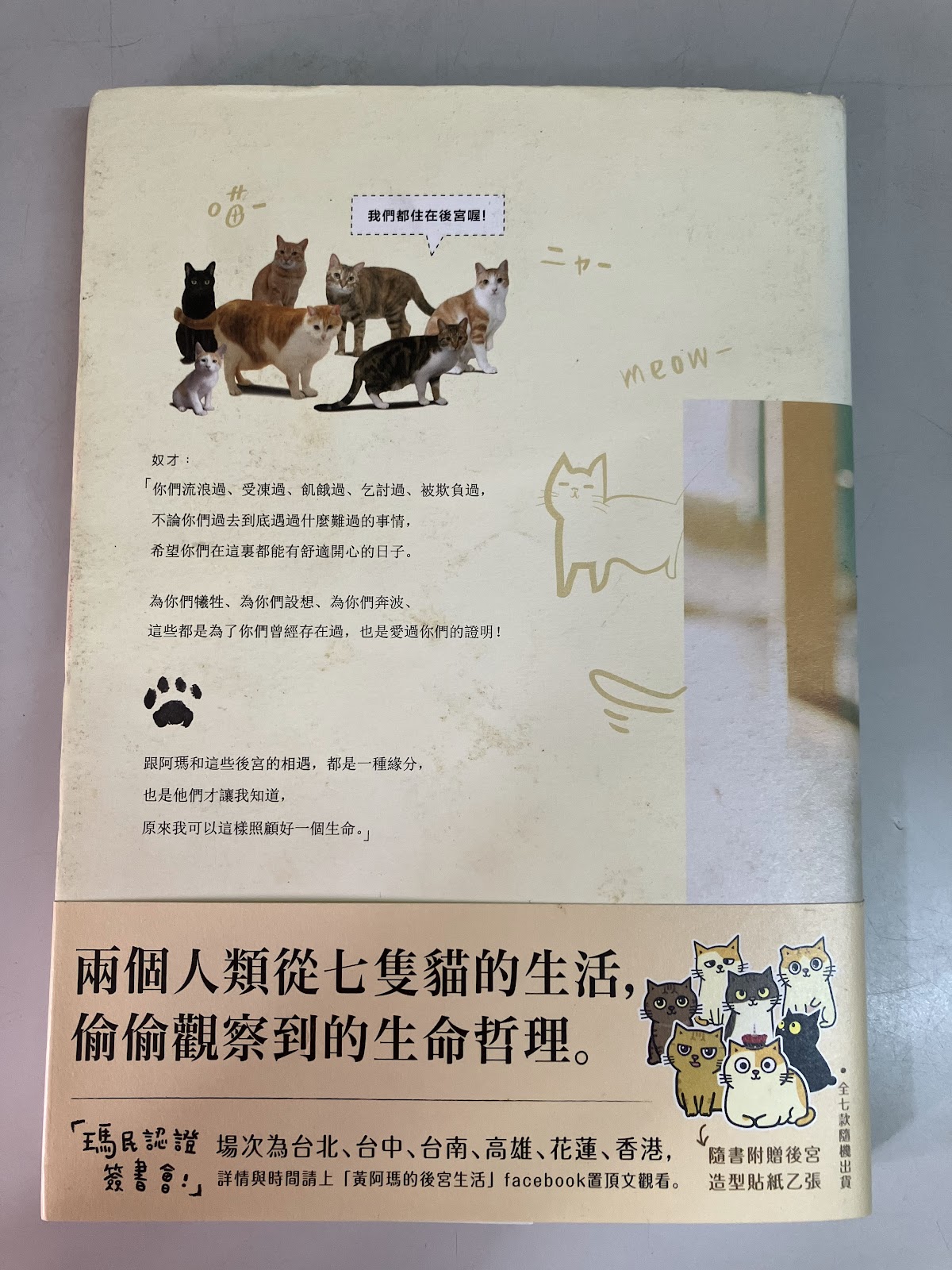 黃阿瑪的後宮生活 listing photo 3