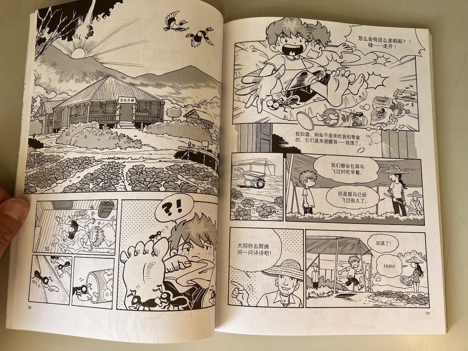 鹅卵石 listing photo 2
