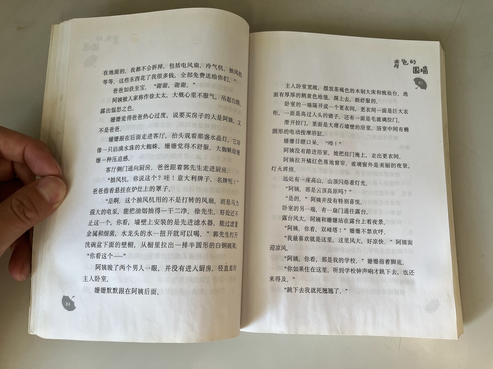 青色的围墙 listing photo 2