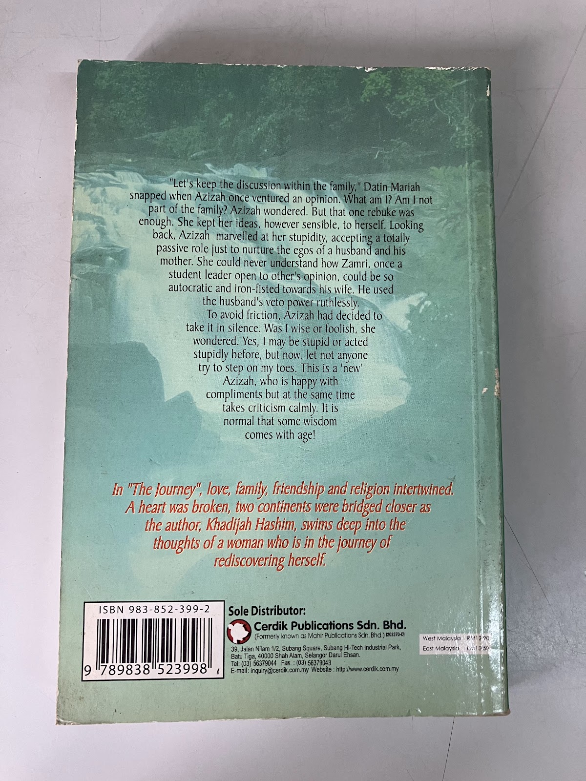 The Journey listing photo 3