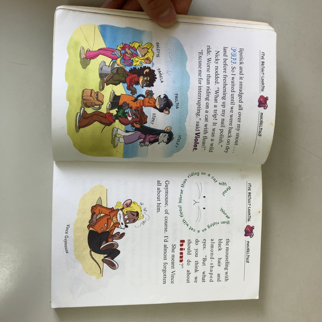 Geronimo Stilton Special Edition listing photo 2