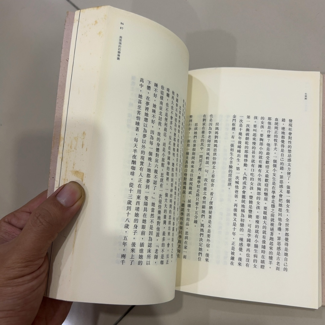 房思琪的初戀樂園 — photo 2