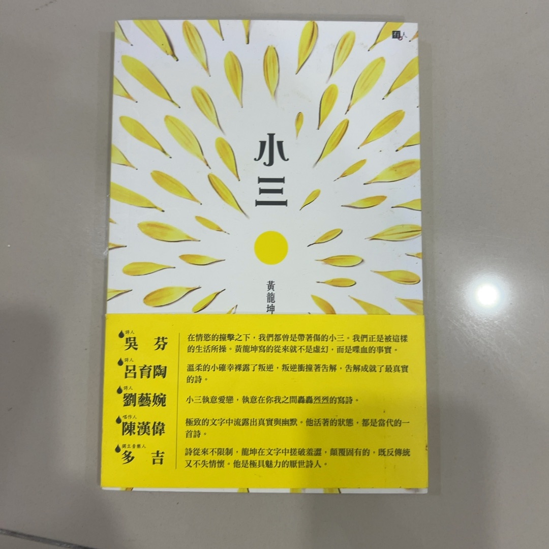 小三 cover