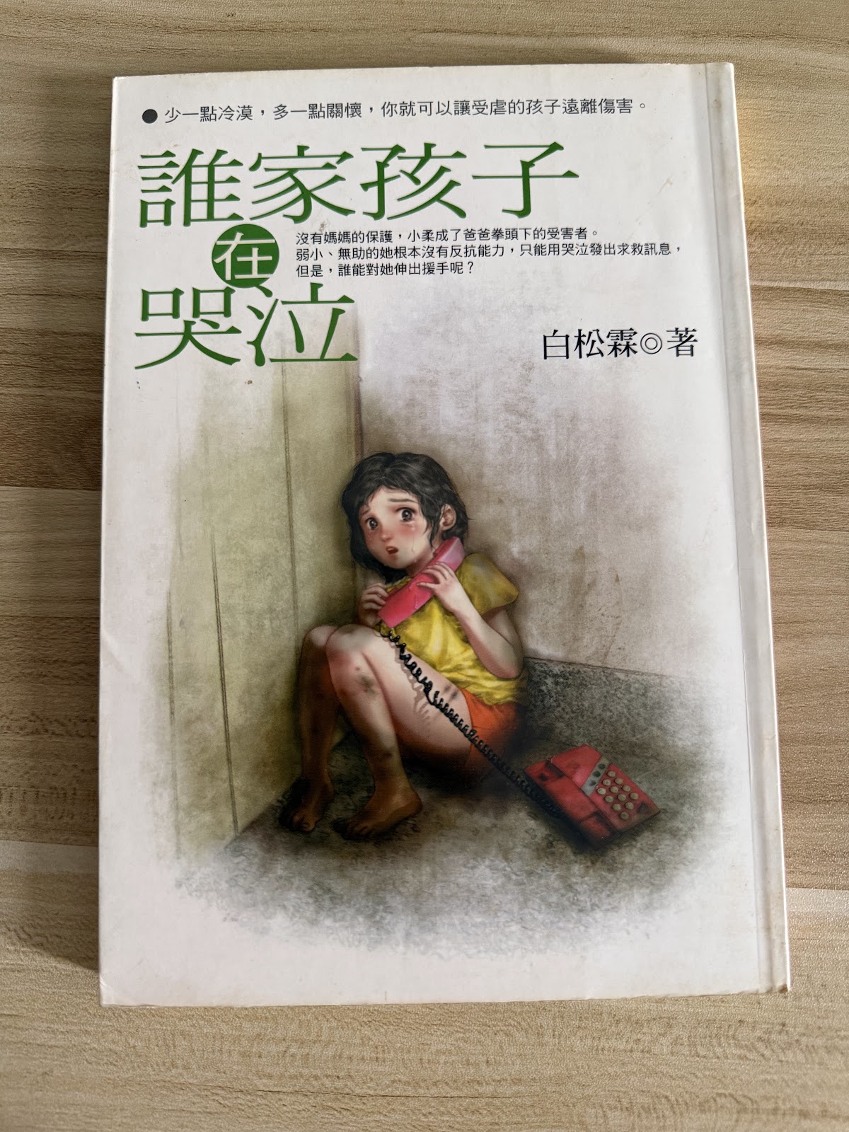 谁家的孩子在哭泣 listing photo 1