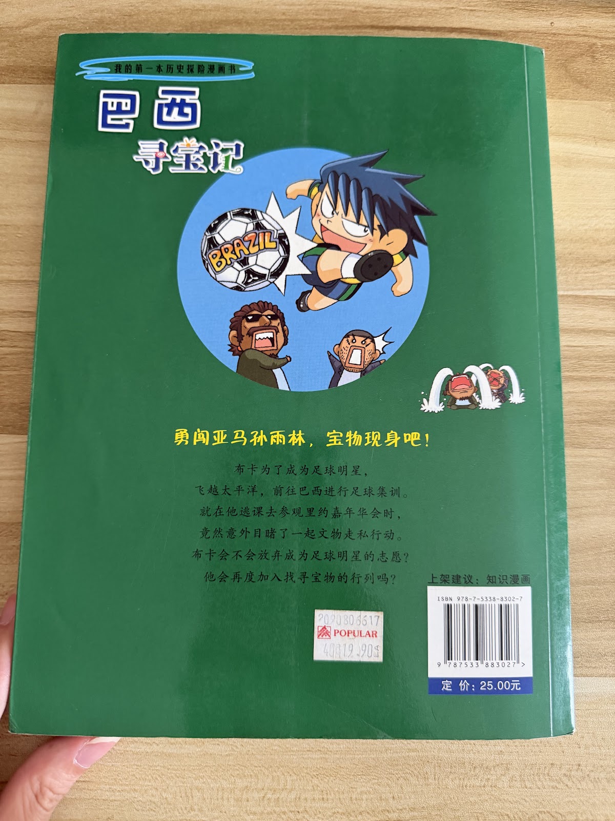 巴西寻宝记 listing photo 3